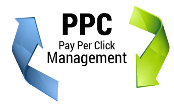Best PPC Services in Delhi India