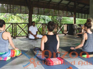 Hatha yoga teacher training in India