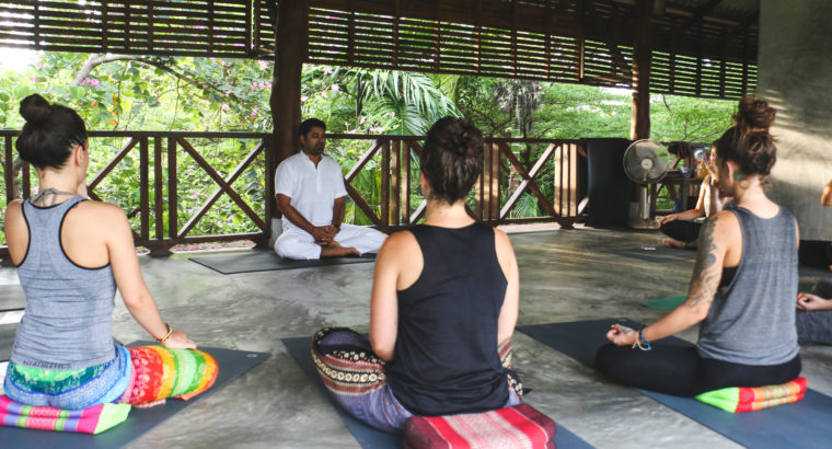 Hatha yoga teacher training in India