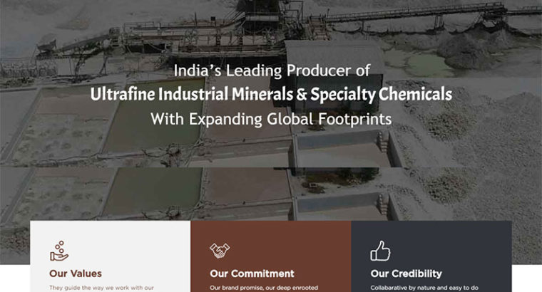Leading Manufacturer & Supplier of White Pigments