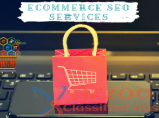 eCommerce SEO Services