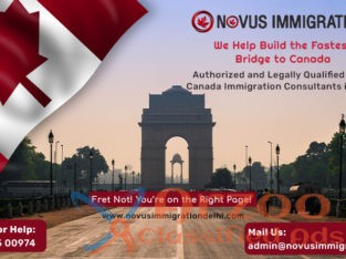 Novus Immigration: Canada Immigration Consultants