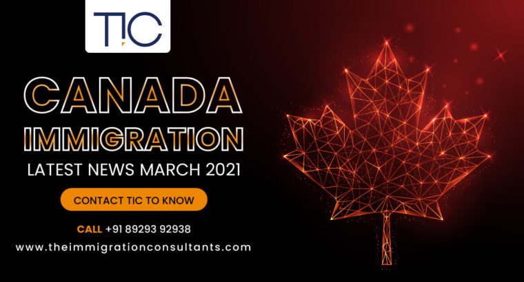 Best Canada Immigration Consultants In Goa | TIC