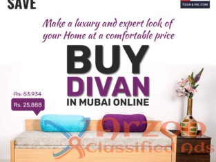 Manufacturer of Sofa Cum Beds in Mumbai- Offtheshe