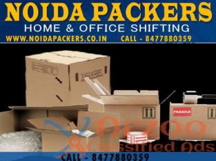 How Packers And Movers Move Household Items
