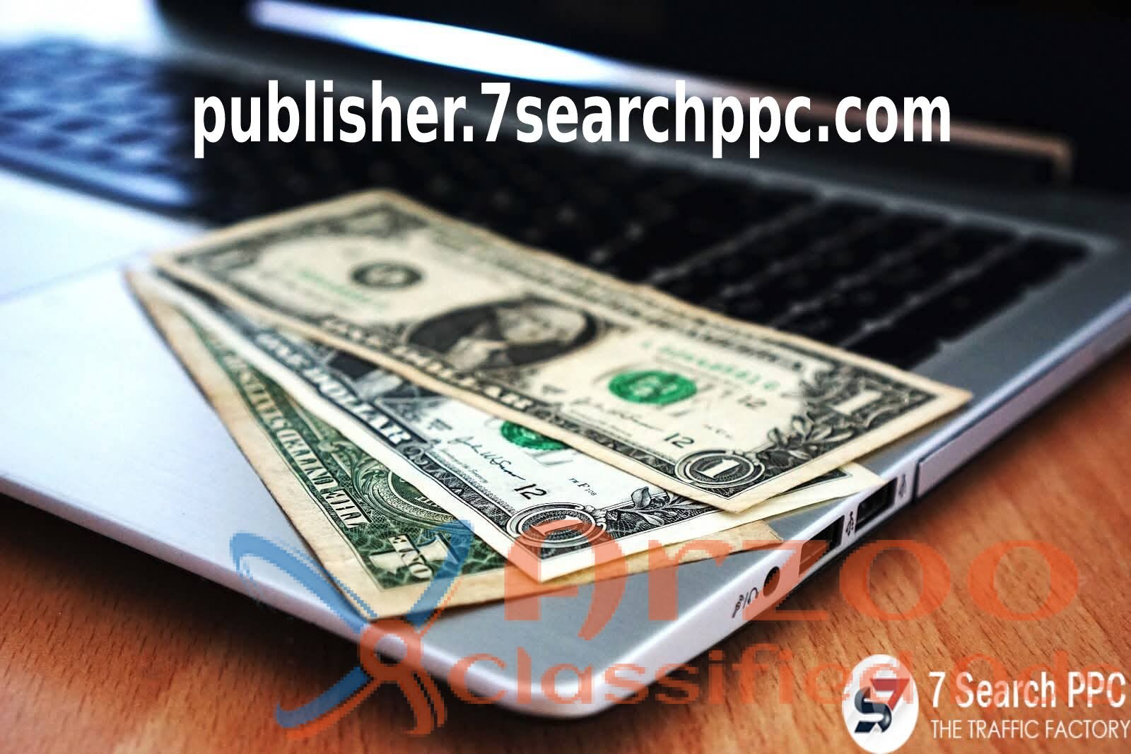 Make Money Online Through Website Monetization | 7