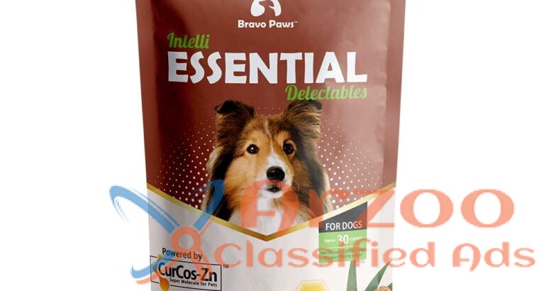 Best Supplement for Dogs with Turmeric and Zinc