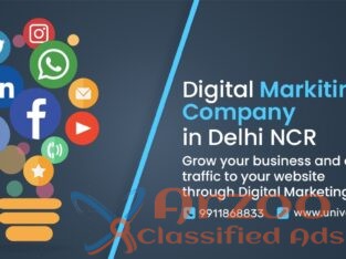 Digital Marketing Company in Delhi NCR