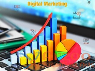 Digital Marketing Company in Coimbatore | Seo Serv
