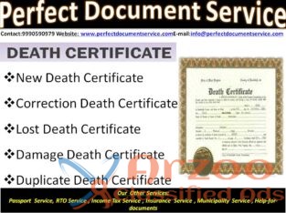Online Death apply Certificate in south delhi dist