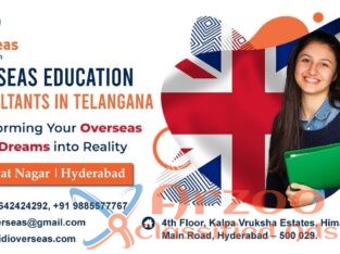 Best Overseas Education Consultants in India