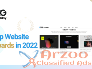 Top Website Awards in 2022