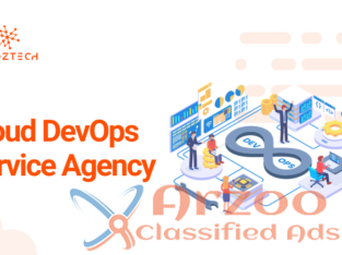 Best Cloud DevOps Service Agency in Florida