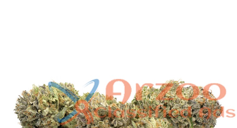 Buy Jungle boys cannabis, jungle boys weed online
