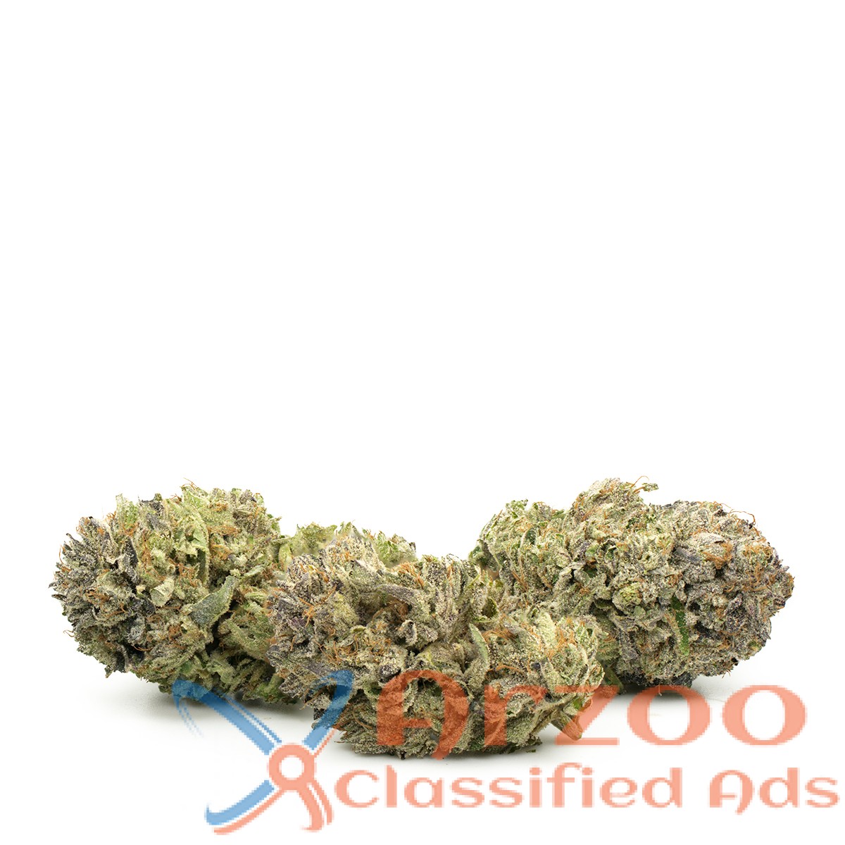 Buy Jungle boys cannabis, jungle boys weed online
