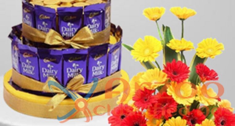 Dazzling Rose Delivery Bangalore