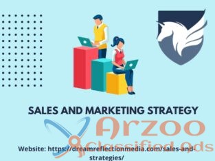 Sales and Marketing Strategy in USA