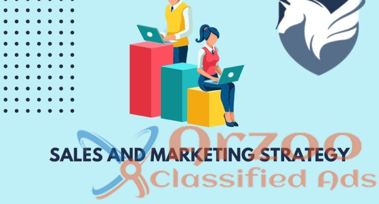 Sales and Marketing Strategy in USA