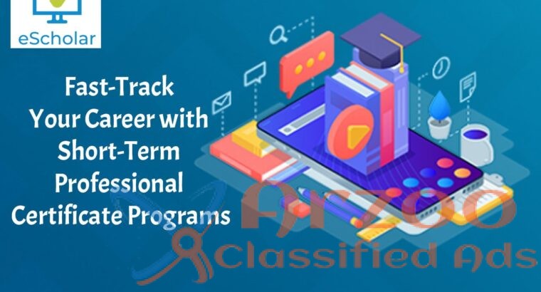 Fast-Track Your Career with Short-Term Profession