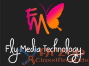 Best Website Development in Punjab – Flymedia Tec