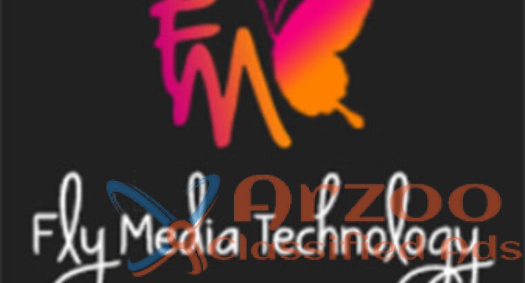 Best Website Development in Punjab – Flymedia Tec