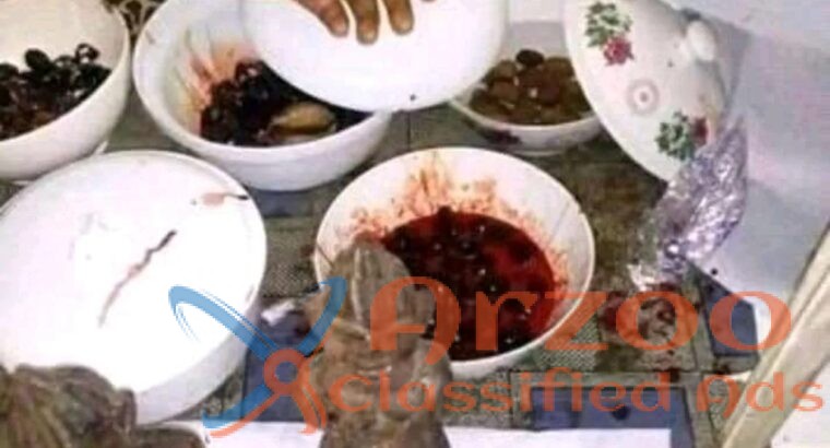 The best powerful herbalist in Nigeria