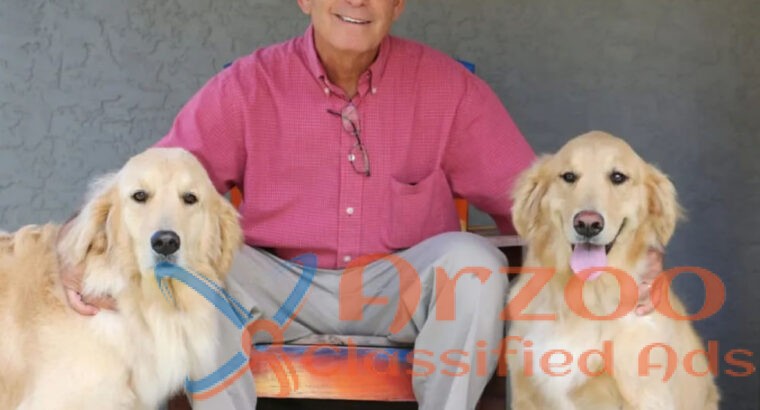 Boulevard Animal Hospital