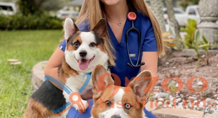 Boulevard Animal Hospital