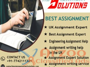 Best Assignment Expert Solution