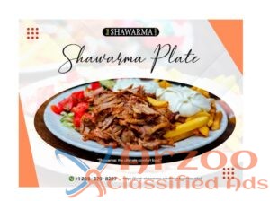 Explore Our Delectable Chicken Shawarma Plate Sele
