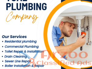 Professional Plumbing Service in Seattle