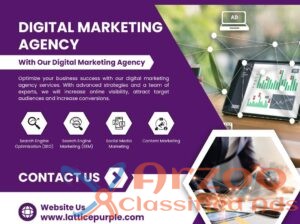 Digital Marketing Company in Delhi NCR