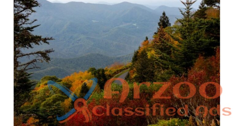 Asheville Architectural Photography – Deborah Scan