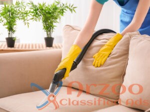 Bal Harbor Sofa Stain Removal
