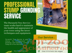 Affordable Stump Grinding & Removal Services