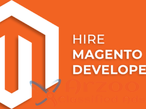 Hire a Magento Developer – The Brihaspati Infotech
