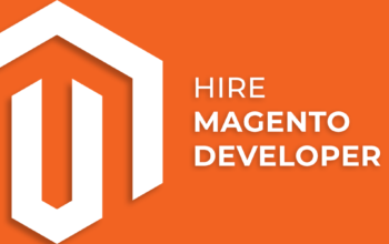 Hire a Magento Developer – The Brihaspati Infotech